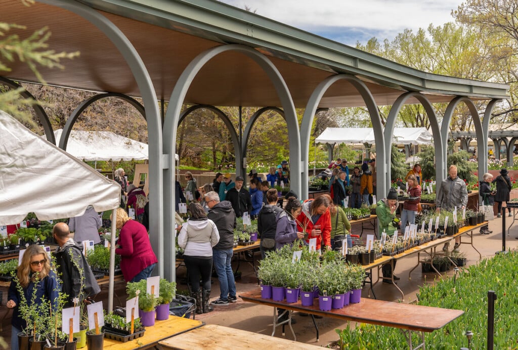 20230512 Plant Sale 143