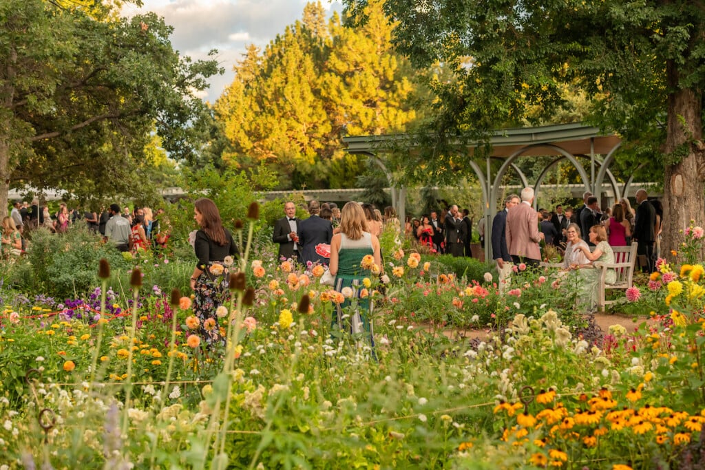 20240823 Fete Des Fleurs 305 1