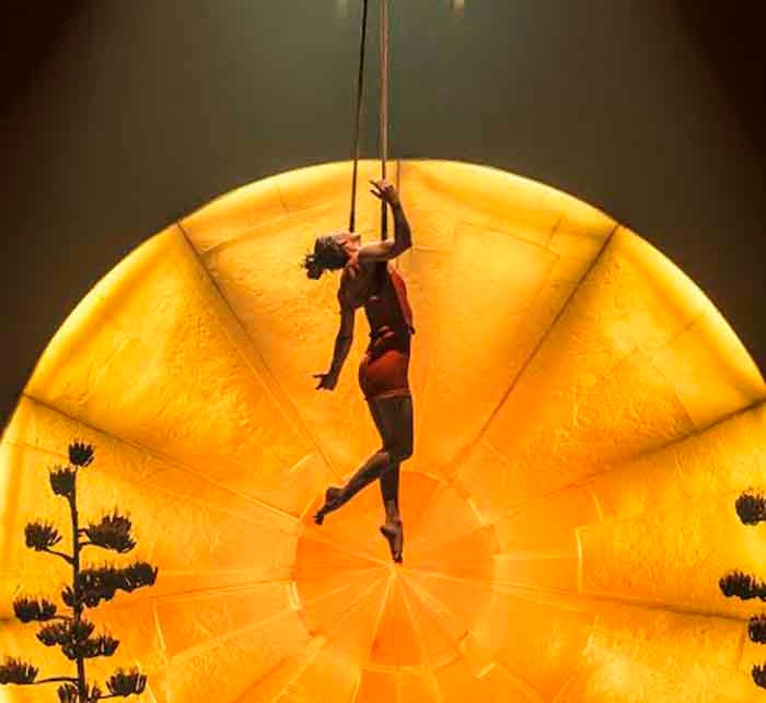 Don't Miss LUZIA by Cirque du Soleil! Colorado Homes & Lifestyles