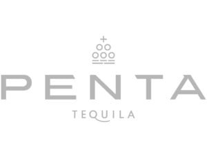 Penta Logo Vector Gray