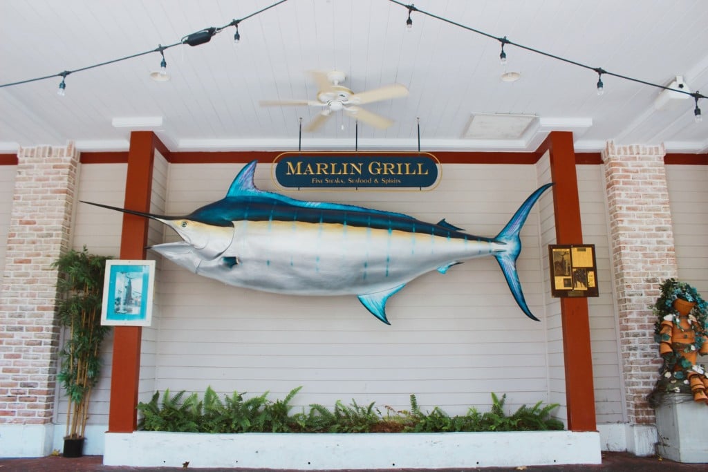 Marlin Grill Fish
