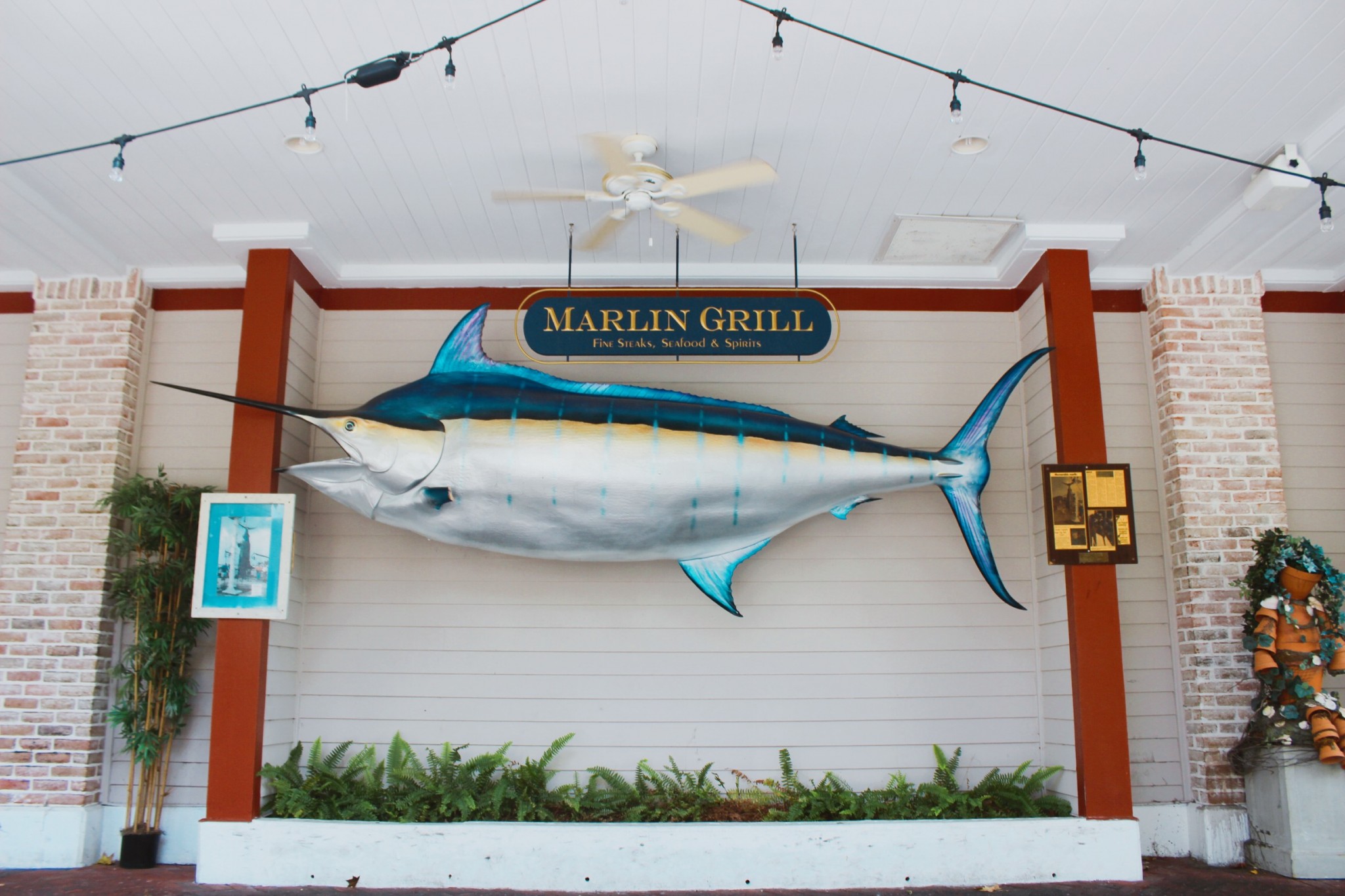 Marlin Grill Celebrates 20 Years in Business - Emerald Coast Magazine