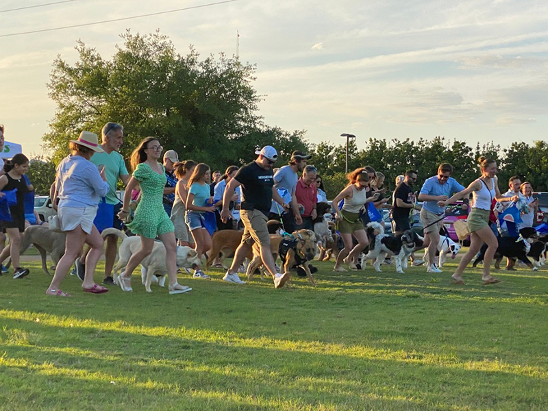 Dog Harmony event