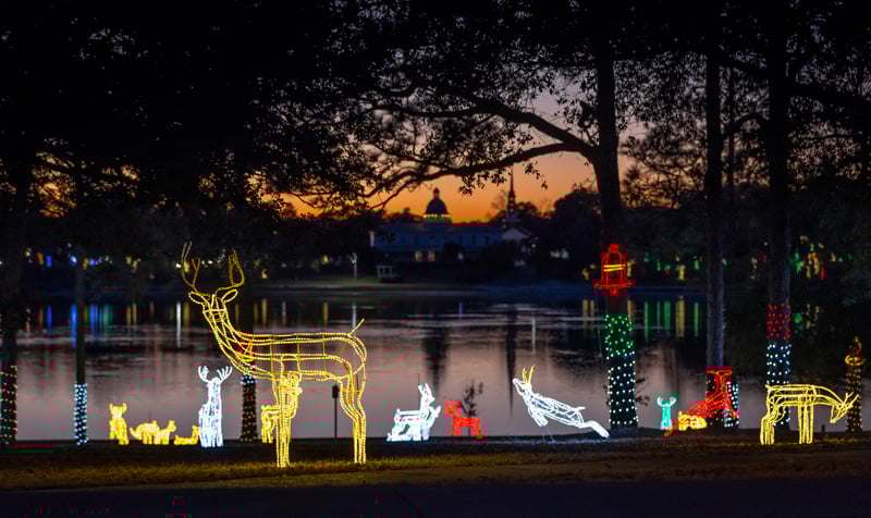 Christmas Reflections 1