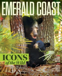 26ecjj Cover