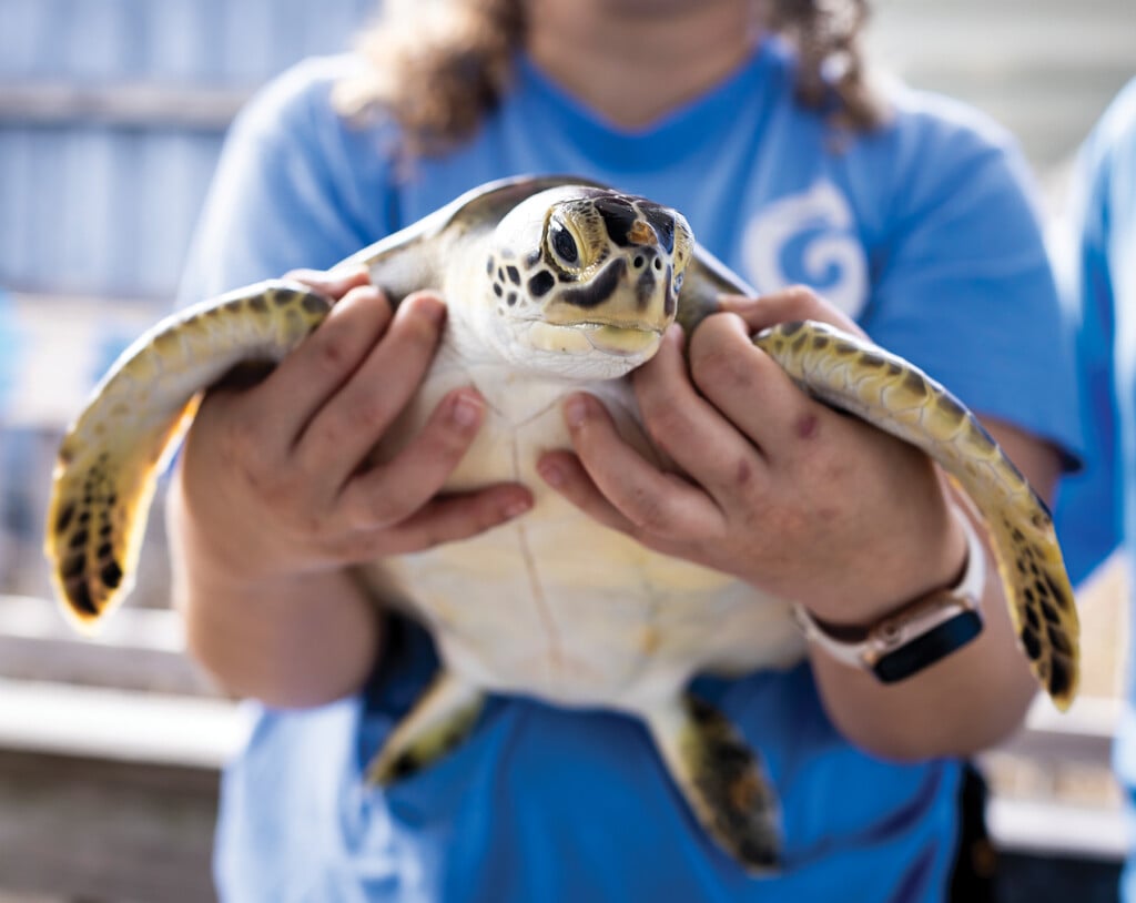 013 030626 Gulfariumcarerehabcenter Web