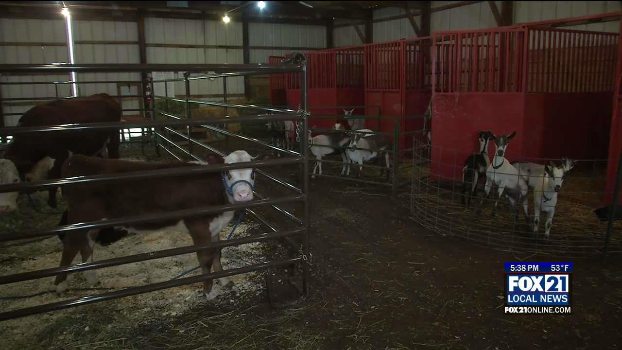 South St. Louis County Fair Begins Today