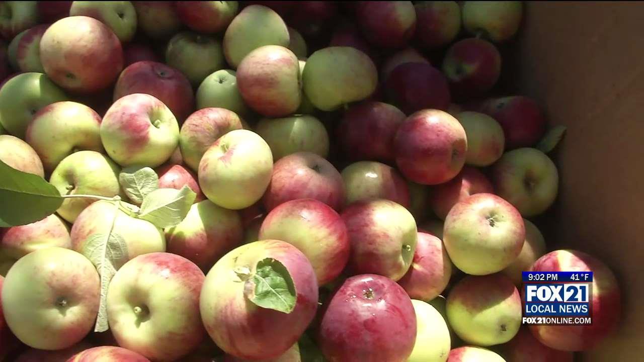 60th Annual Bayfield Apple Festival Begins Friday