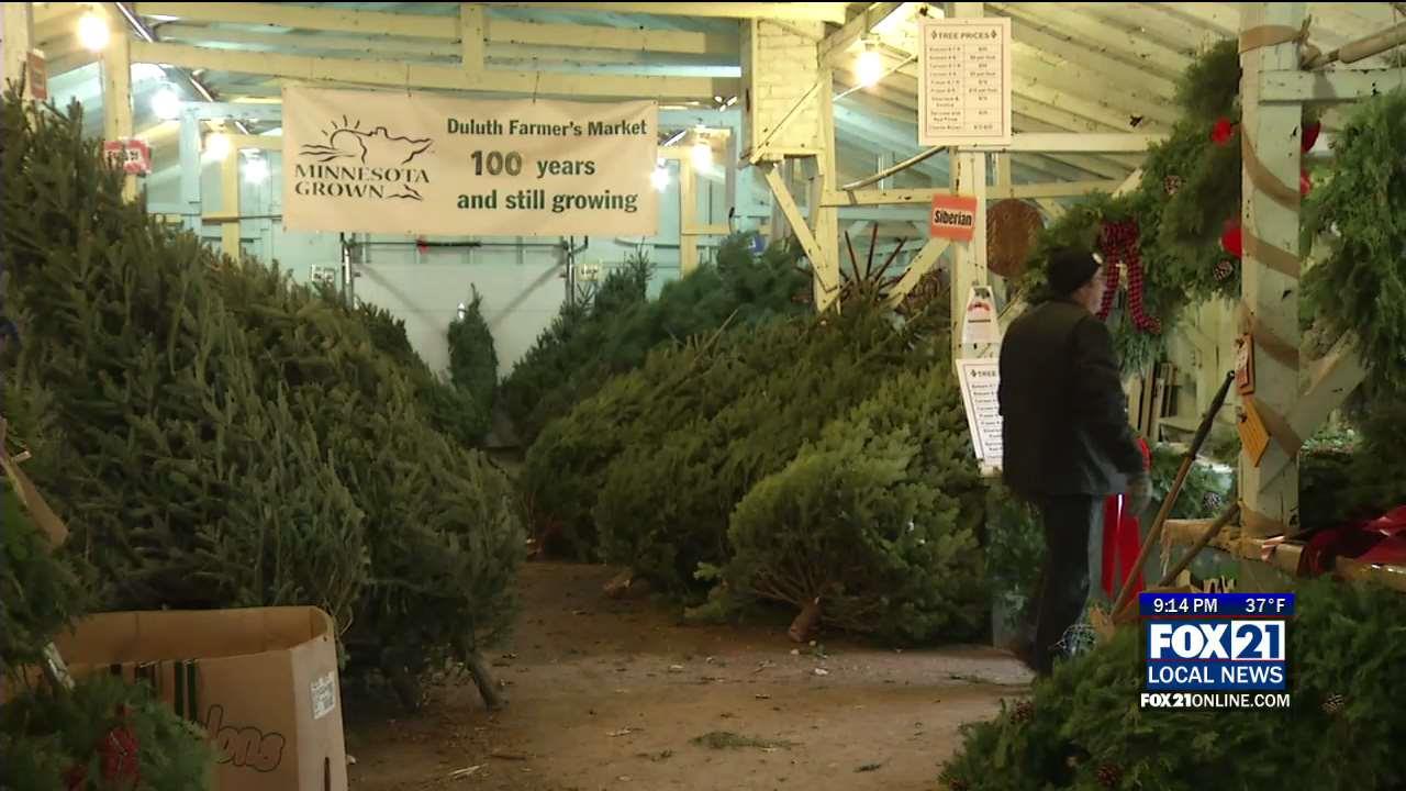 Christmas Tree Sales Booming