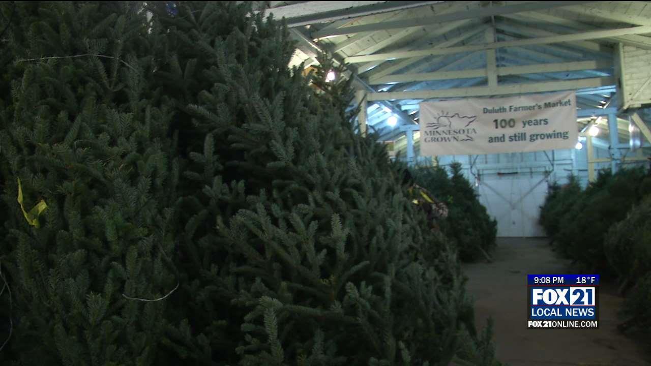 Christmas Trees Take Over Duluth Farmers' Market