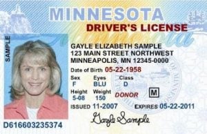 mn drivers license