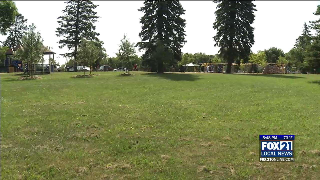 Disc Golf Course Coming Back to Park