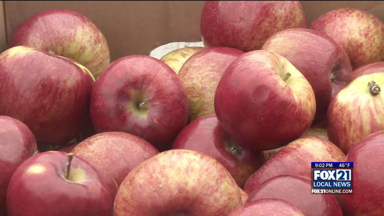 Apple Festival Apple of Bayfield's Eye