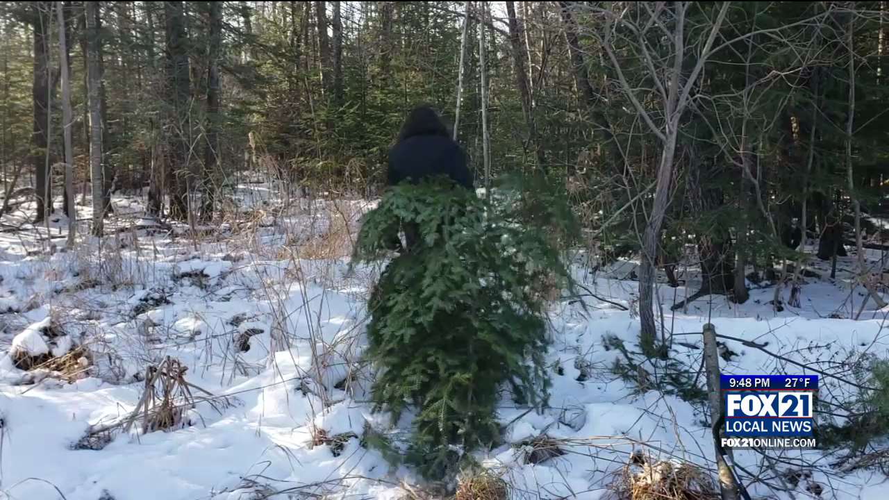 Cut Your Own Christmas Tree From The Superior National Forest