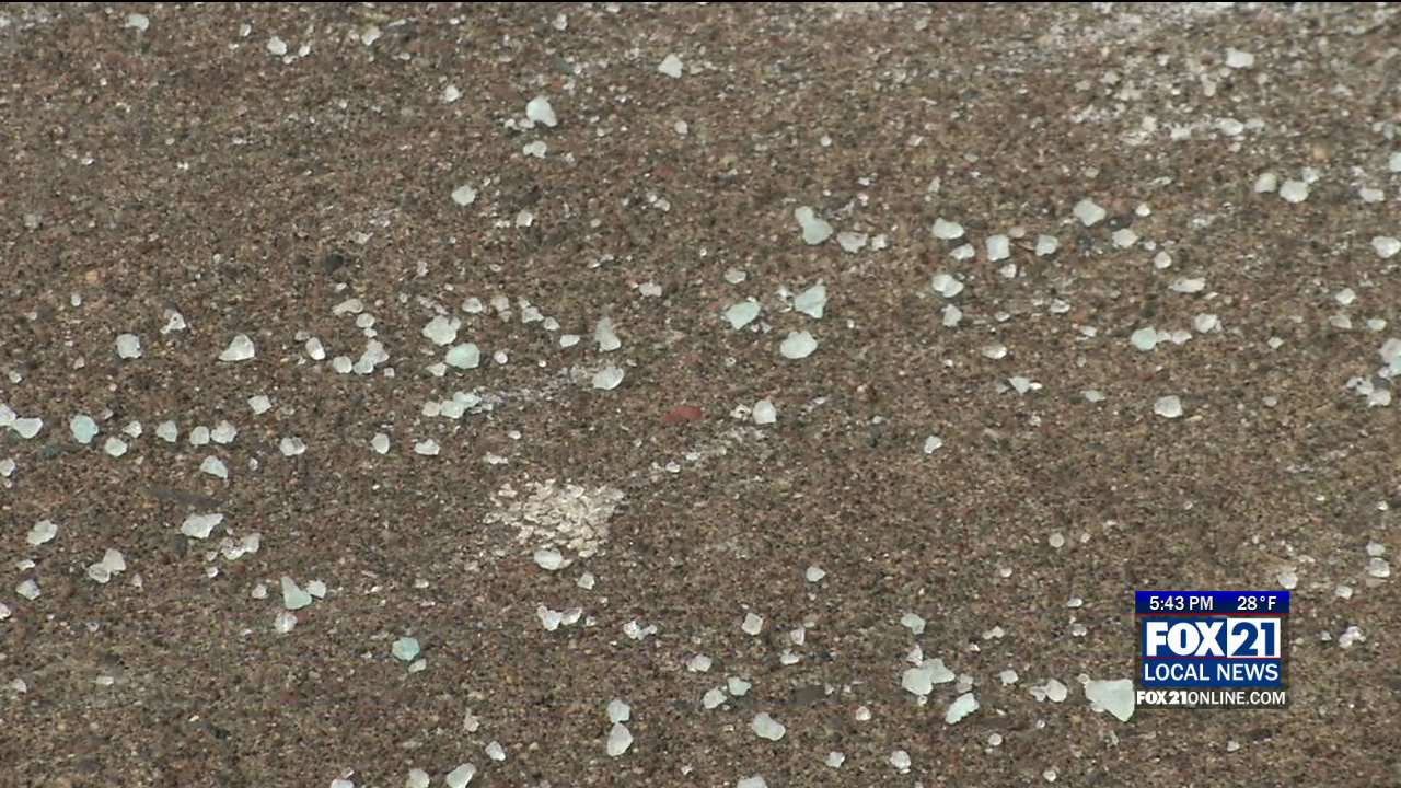 Salt is Potentially Damaging to the Environment