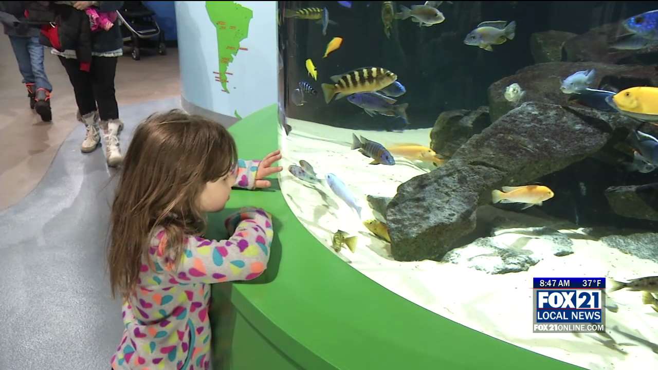 Duluth Community Days Continue with Free Aquarium Admission