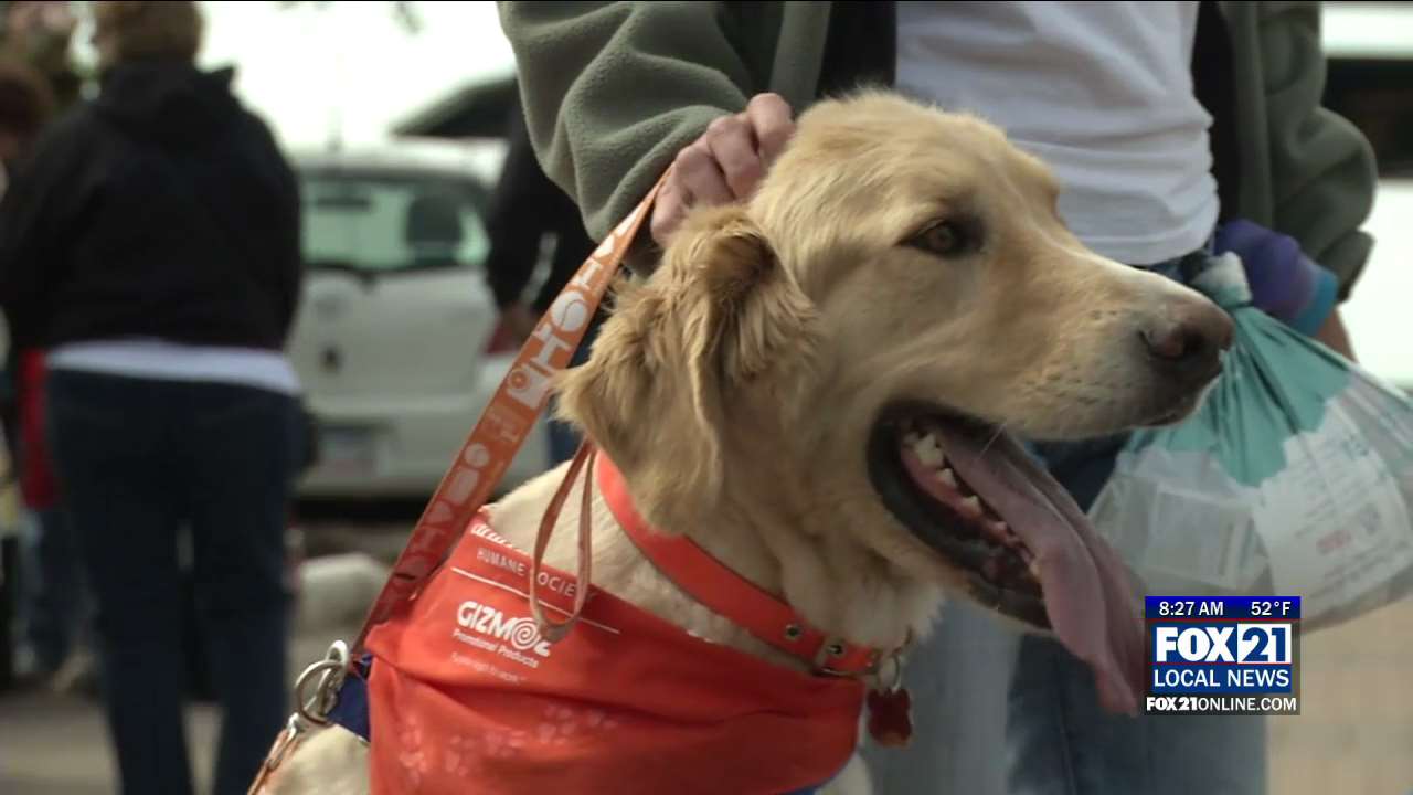 Walk for Animals to Support Animal Allies Humane Society