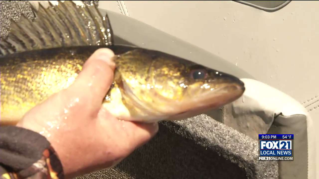 Swarms of Boats Out for Wisconsin Fishing Opener