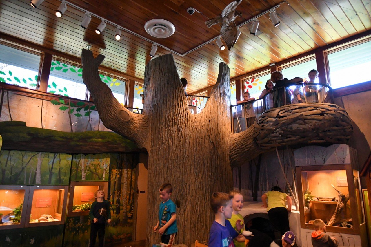 Cable Natural History Museum to Host Grand Opening Saturday