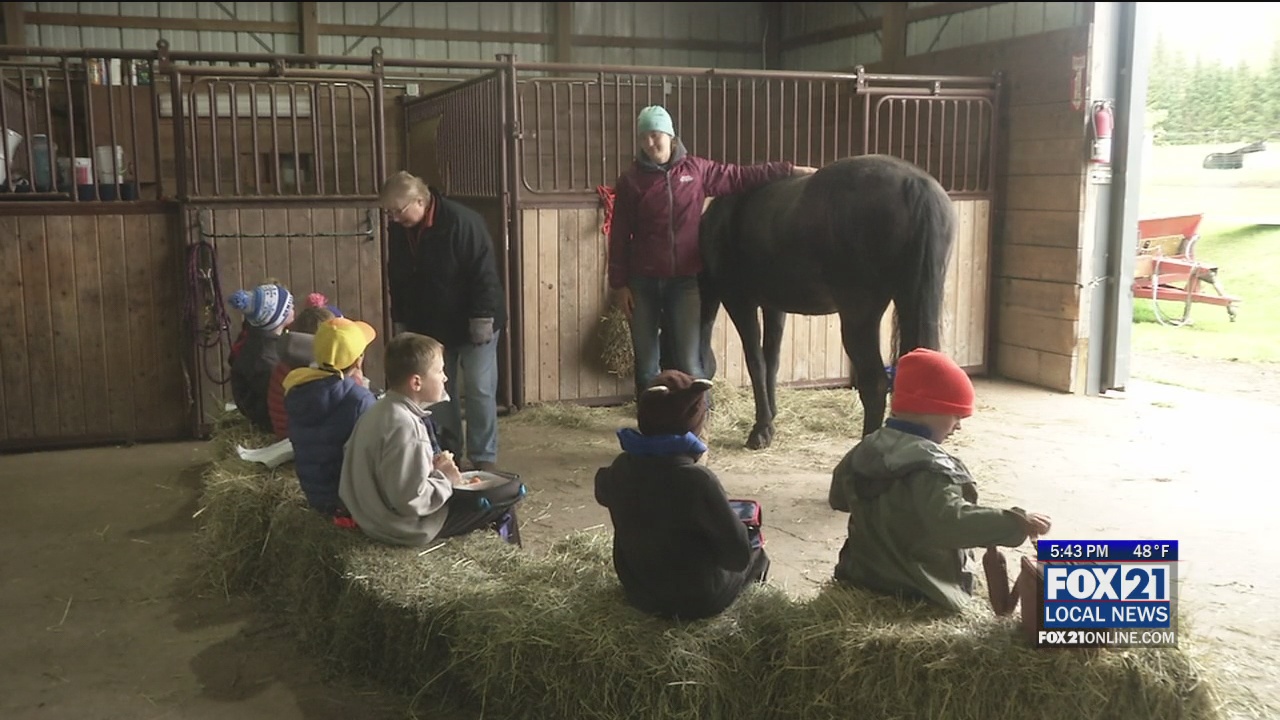 Seeds of Hope Youth Ranch Hosts Annual Pumpkin Hunt