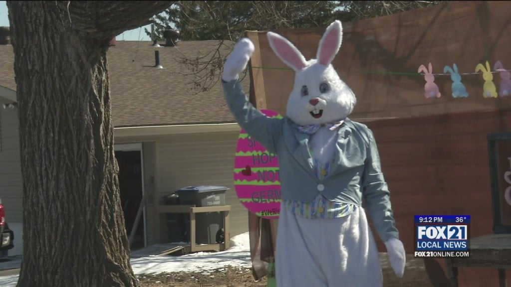 Easter Bunny