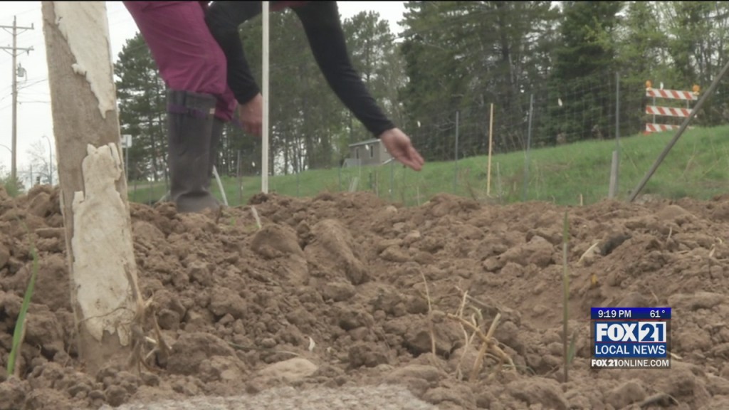Community Garden