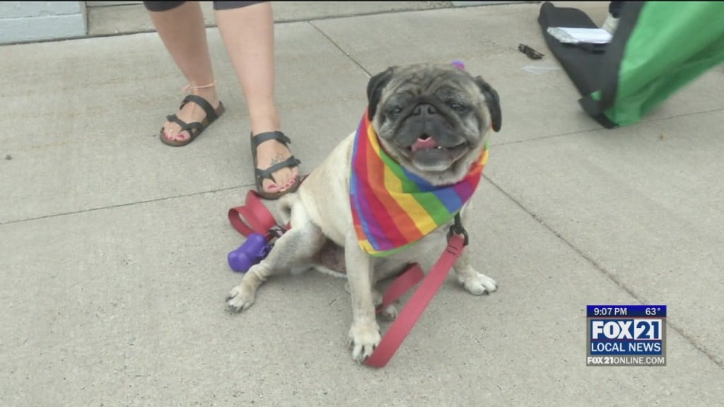 Virtual Pride