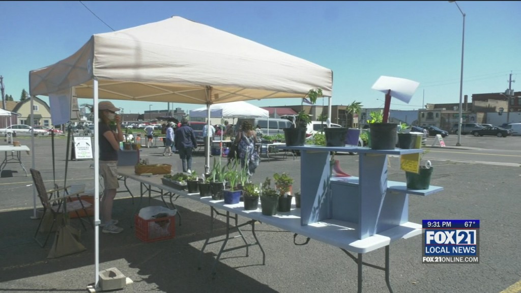 Farmer's Market