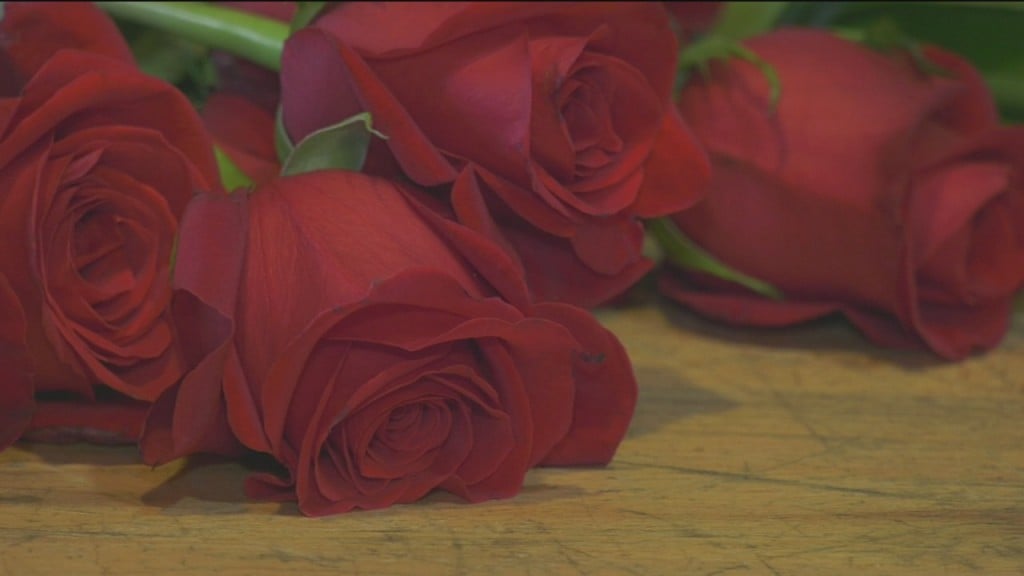 Rose Day