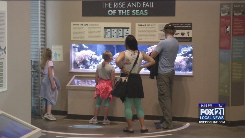 Aquarium