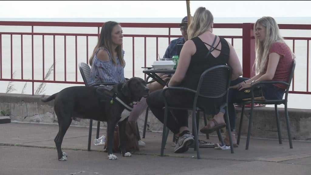 Yappy Hour