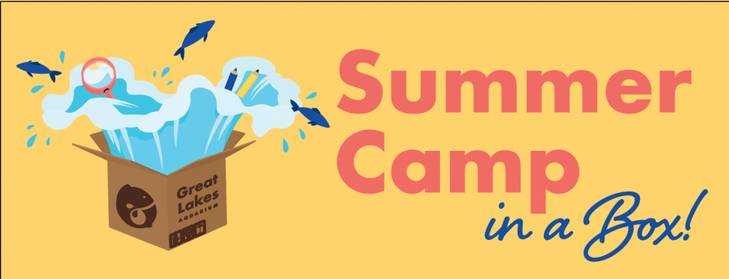 Summer Camp In A Box