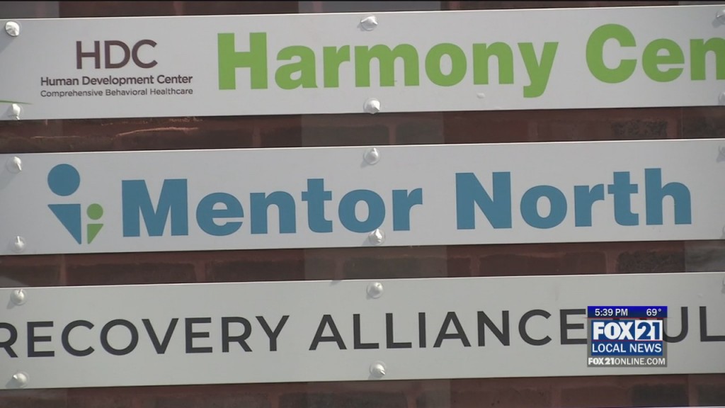 Mentors