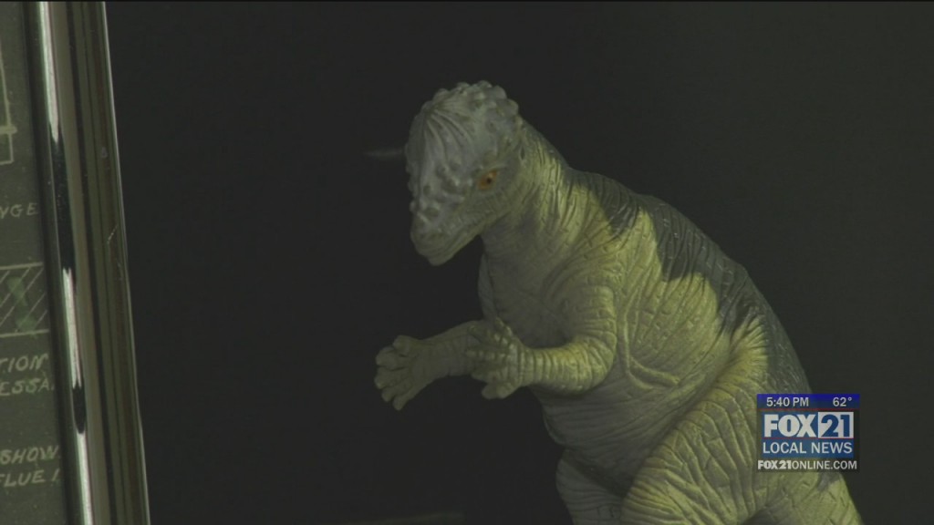 Dino Hunt