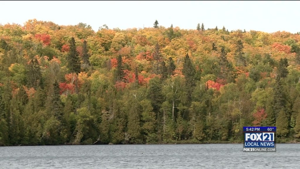 Fall Colors