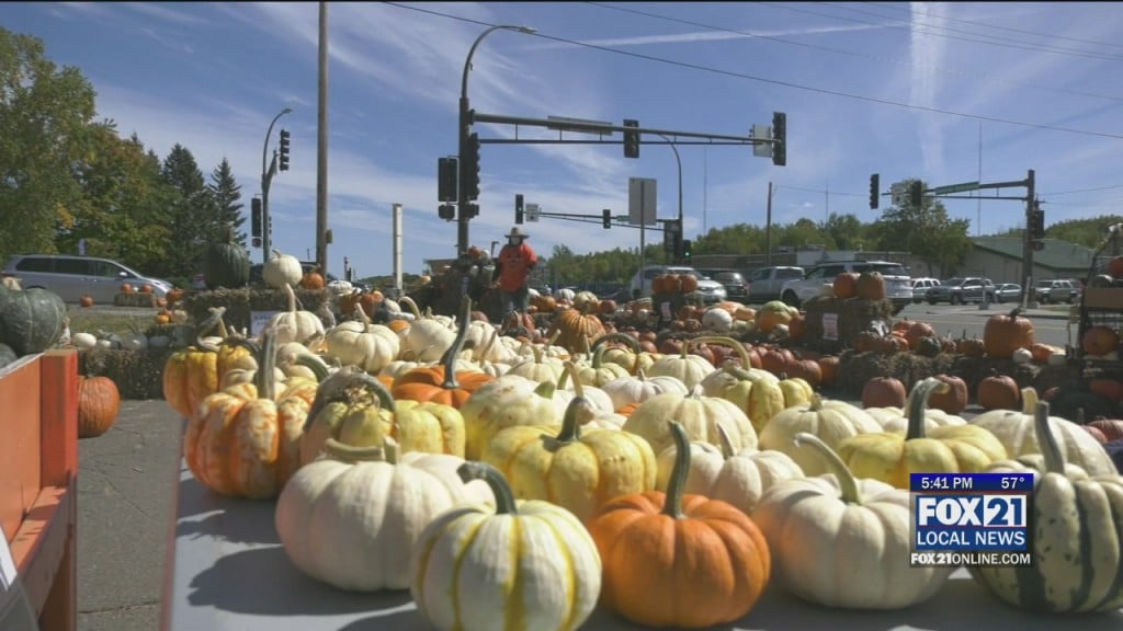 Pumpkins