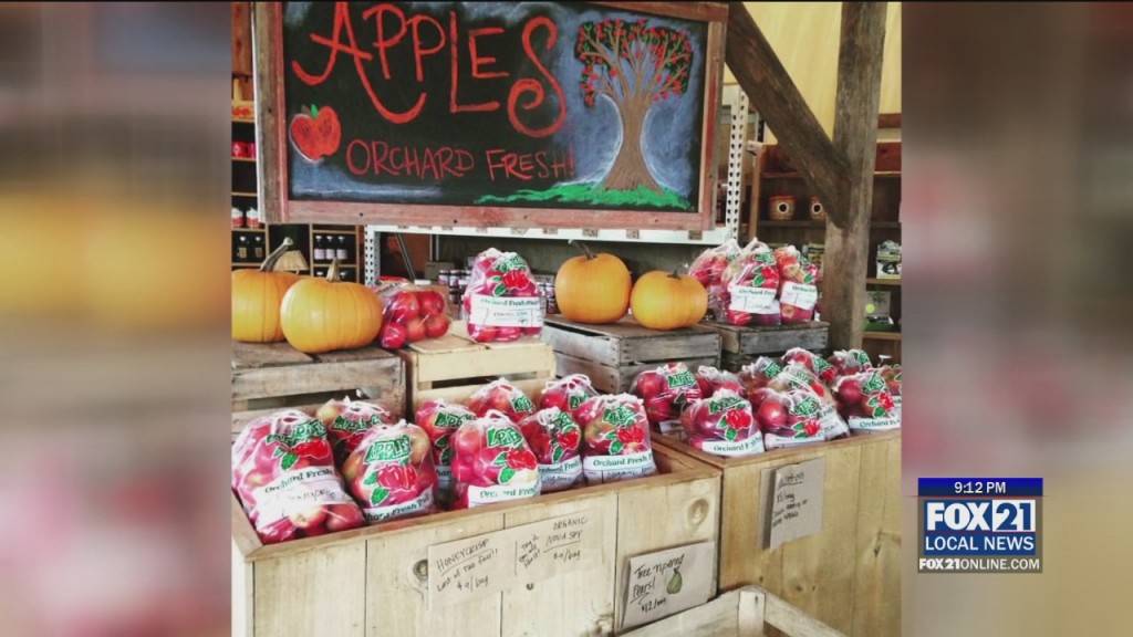 Apples