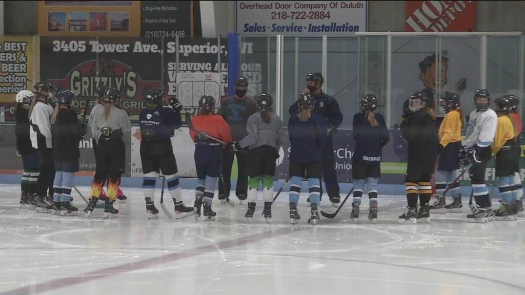 Learn To Skate