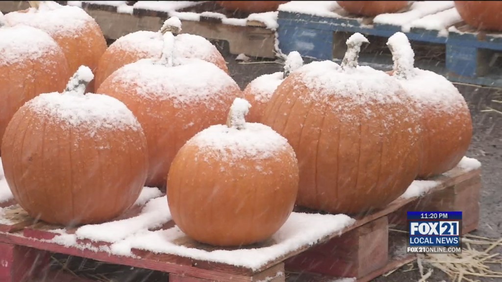 Pumpkin Fundraiser