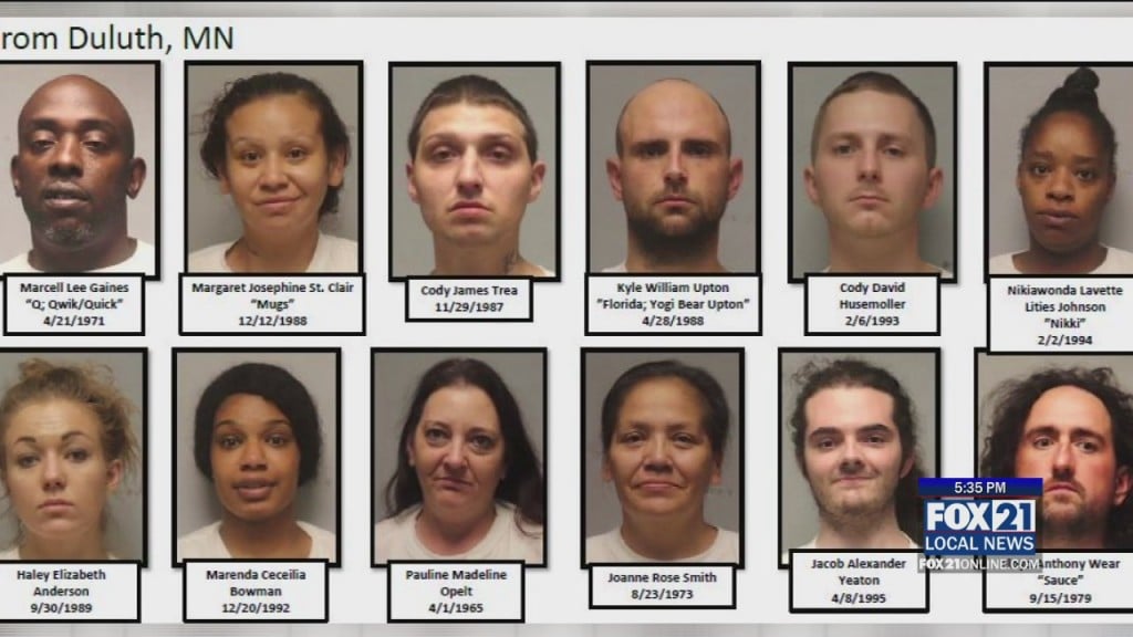 Drug Bust