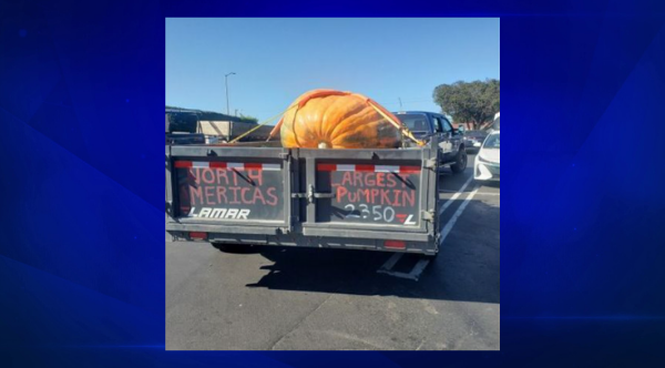 Pumpkin