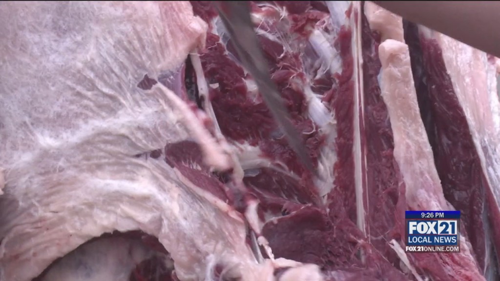 Venison