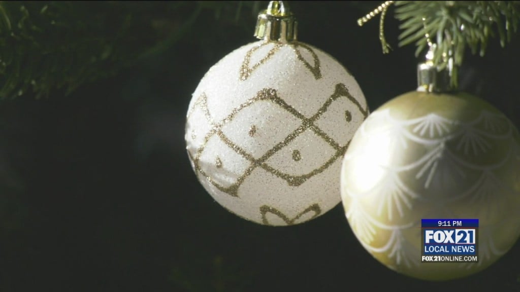 Bailey Builds Xmas