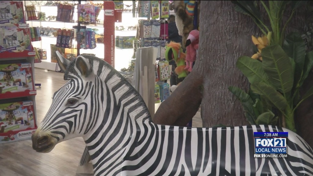 Toy Store