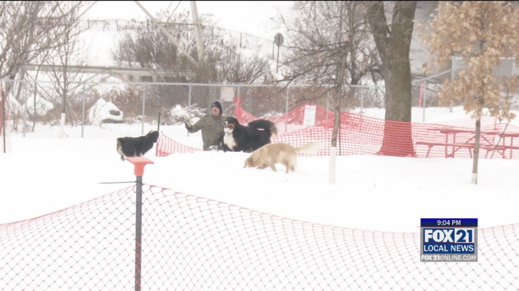 Dog Park