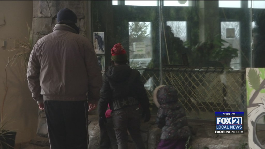 Zoo