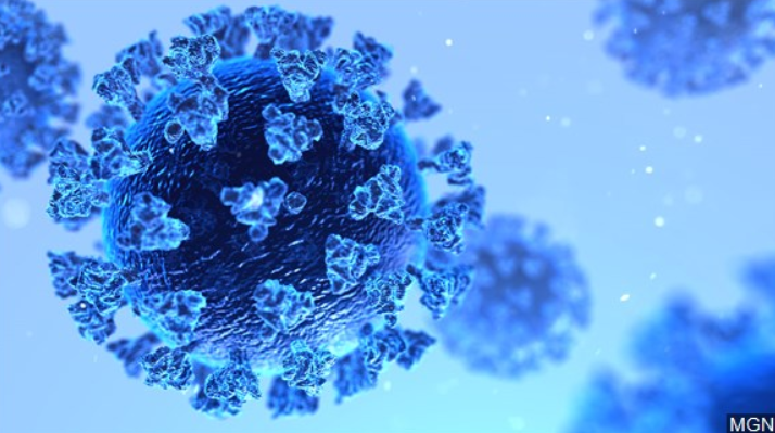 Coronavirus