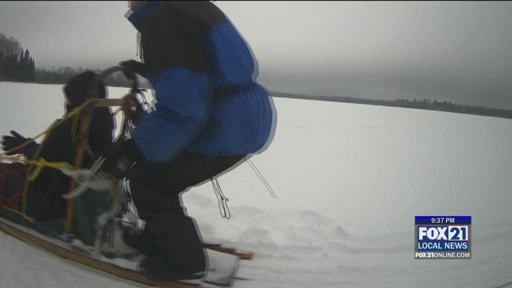 Dog Sledding