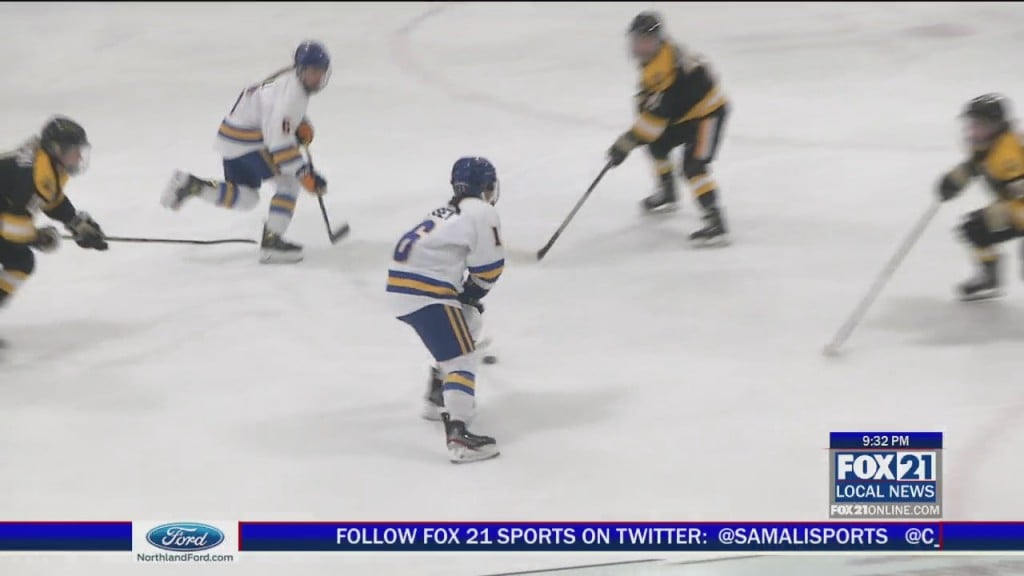 Css Hockey