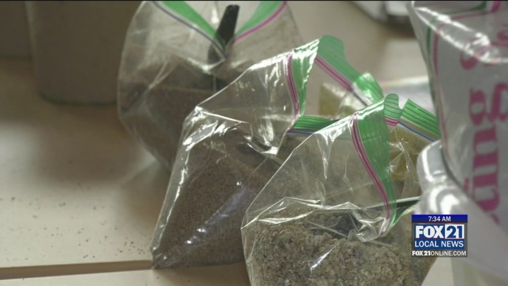 Seed Pots